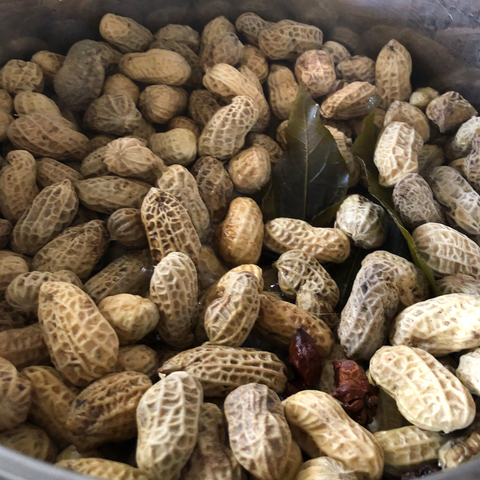 鹹乾花生 Boiled and Dried Salted Peanuts 高華種子 香港本地花生種子 Hong Kong local peanuts seed harvest Clover Seed