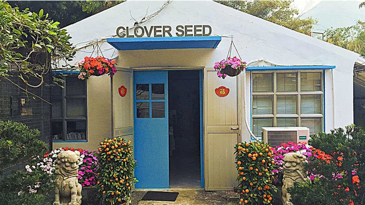 高華花園 Where to buy seed in Hong Kong - Clover Nursery