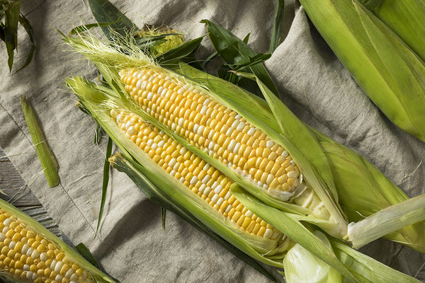 Fresh Veggies SG Fresh Vegetables Online Delivery in Singapore-Buy 1 get 1 FREE White & Yellow Corn