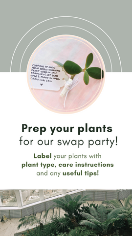 Prep your plants to be swapped!