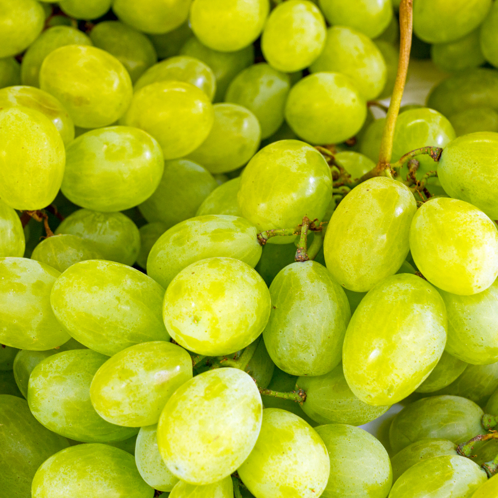 Price Chopper - Green Seedless Grapes only .88 cents/lb. 