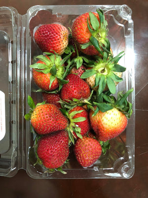 Fresh California Strawberry (~500g)
