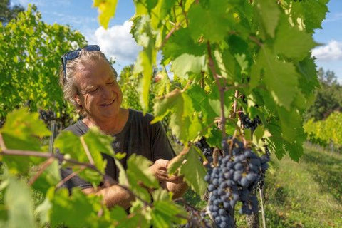 Winemaker Bibi Graetz working in the vines