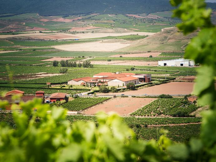 Bodegas Altanza, the winery where the Altanza wines are made, seen from a distance