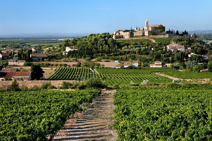 Famille Perrin, Cairanne village