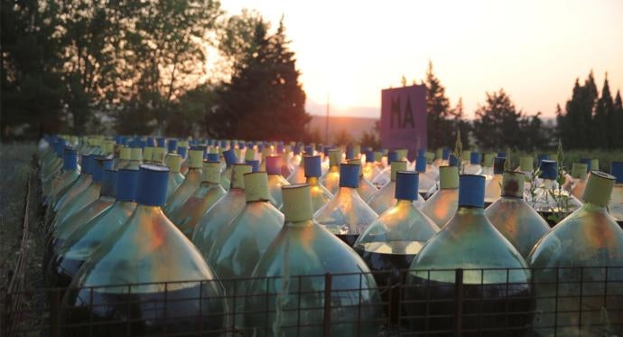 Glass demijohns at Mas Amiel wine estate in Maury, France