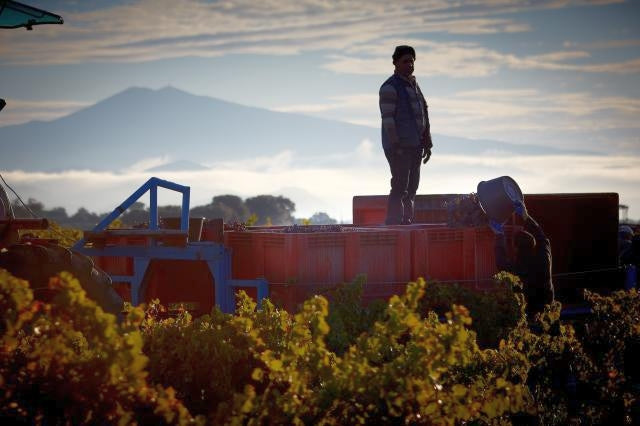 Harvest time Harvest at Beaucastel