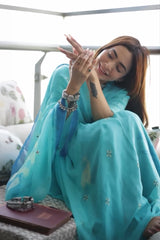 Graceful Charms Light Blue Printed & Embroidered Chiffon Saree