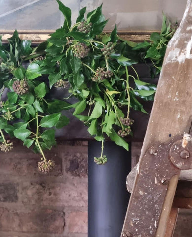 alt="Hanging greenery over a fireplace"