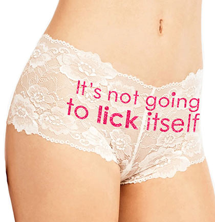 It's Not Going To Lick Itself Panty, Wedding Panties, Bachelorette  Lingerie, Naughty Bachelorette Party