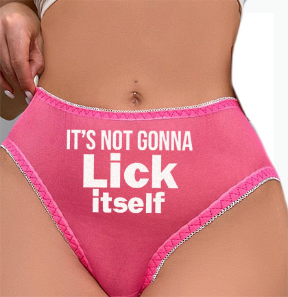 It's Not Gonna Lick Itself Funny Thong Sexy Panties Bachelorette Gift Lick  Me Panties Naughty Gift Kinky Panties Wedding -  Canada