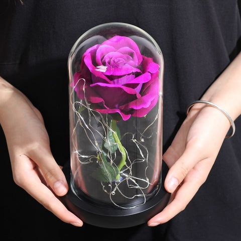 Rose Éternelle XL sous Cloche Violette | La Belle et la Bête