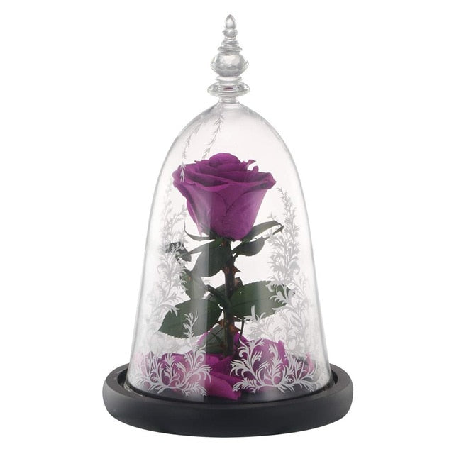 Rose Éternelle Violette sous cloche | La Belle et la Bête