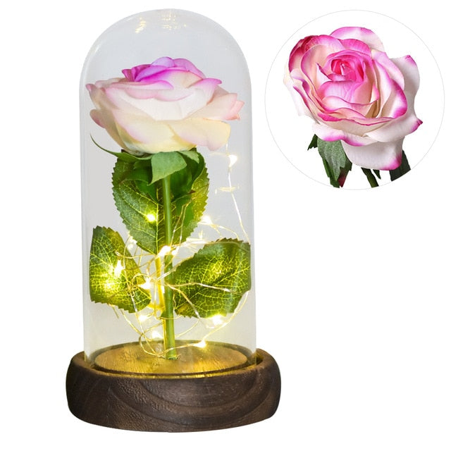 Rose Éternelle sous Cloche Blanche Rose | La Belle et la Bête