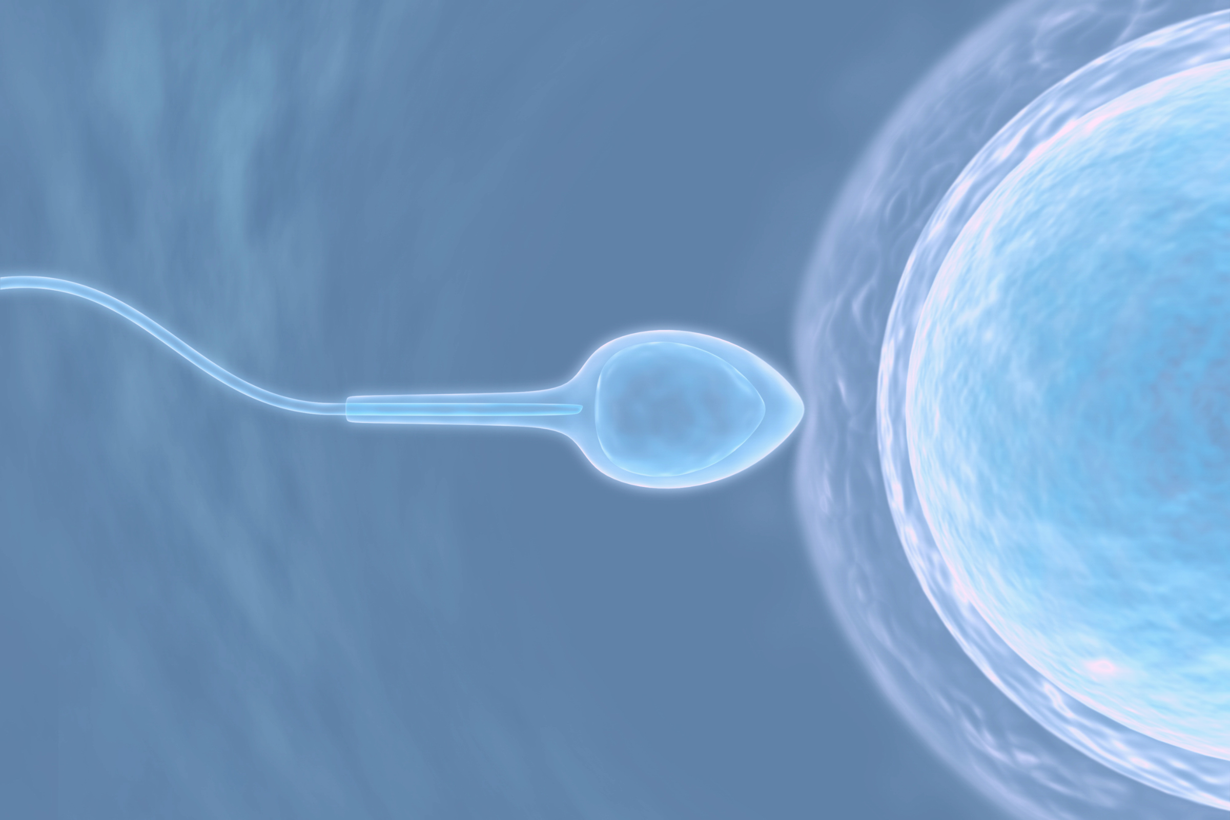 What Does Healthy Sperm Look Like?