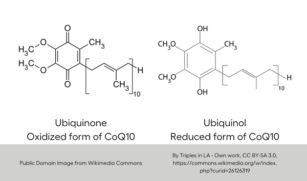 Molecular structures of ubiquinone and ubiquinol
