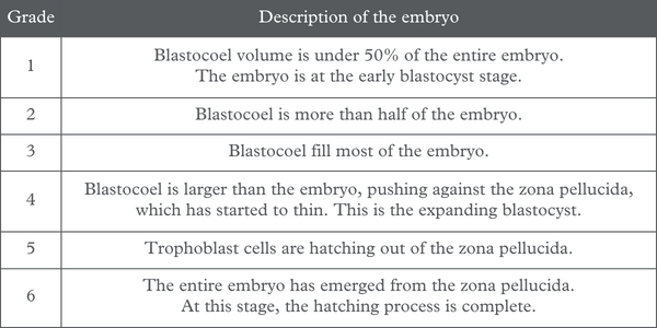 Embryo expansion and blastocyst grades