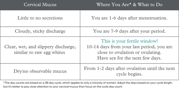 cervical mucus and fertile window chart