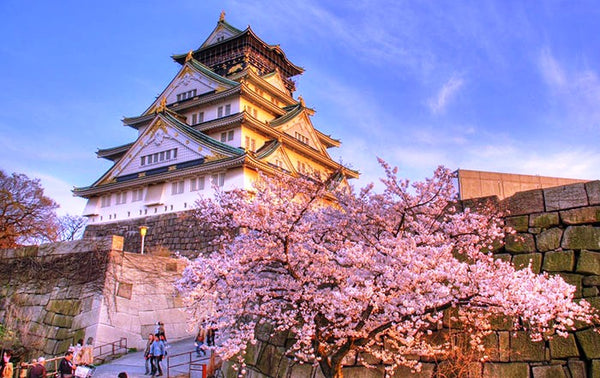 beautiful osaka castle