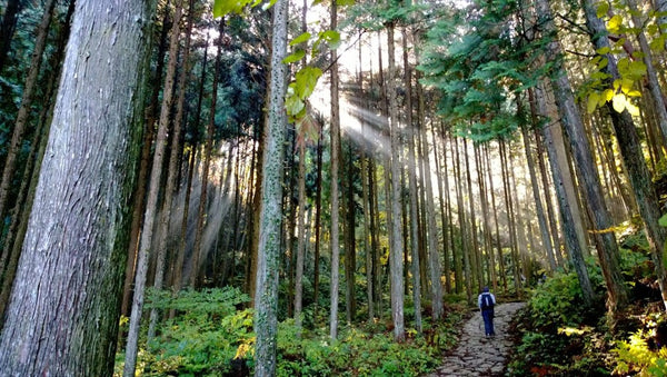 Nakasendo Japan