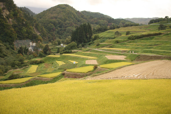 most beautiful places in japan snakku