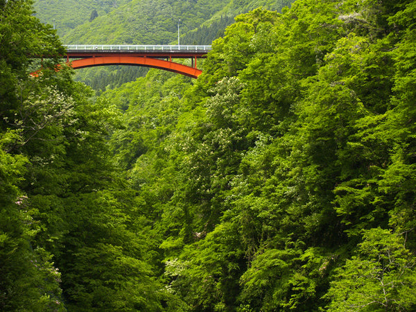 most beautiful places in japan snakku