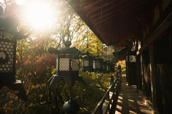 Tanzan Asuka travel off the beaten path Japan