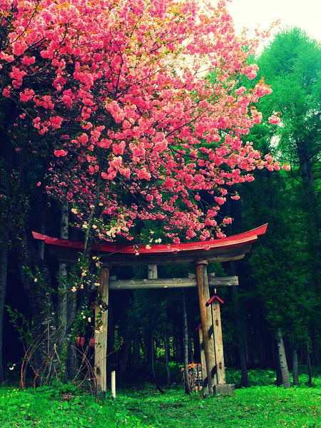 most beautiful places in japan snakku