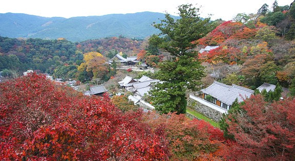 Hasedera Asuka Japan