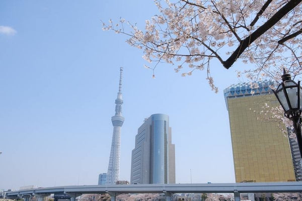 tokyo skytree in spring