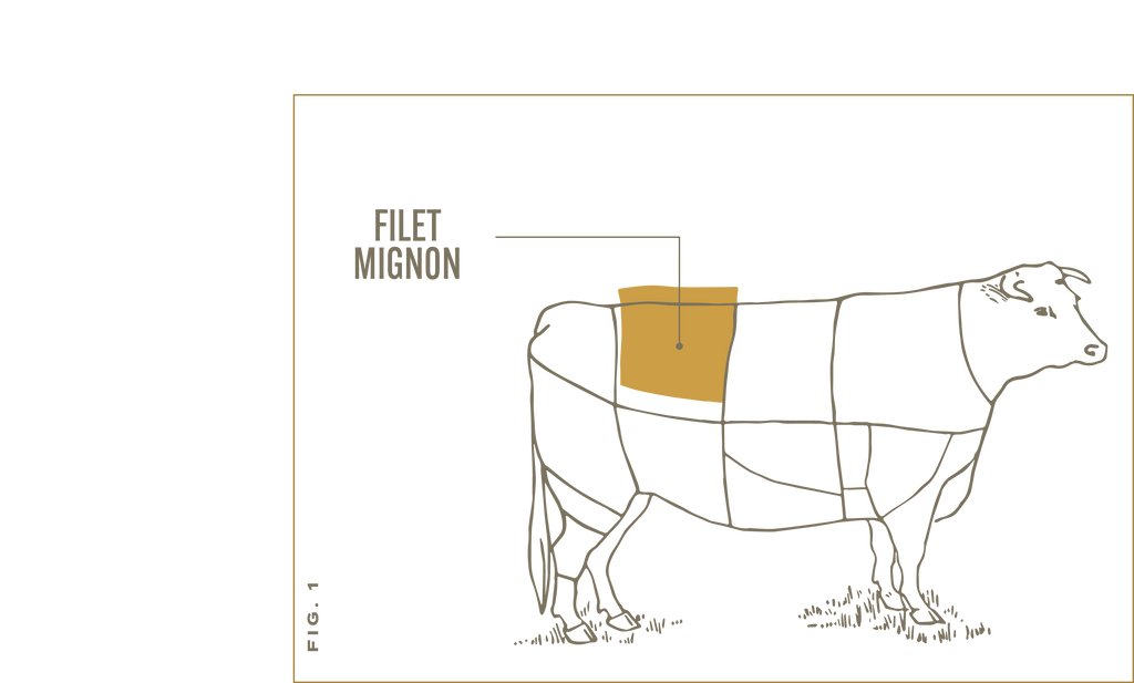 The filet mignon is cut from the tenderloin, which is part of the loin primal. 