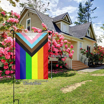 Transgender Pride Flag - 3'X5' - Endeavours ThinkPlay