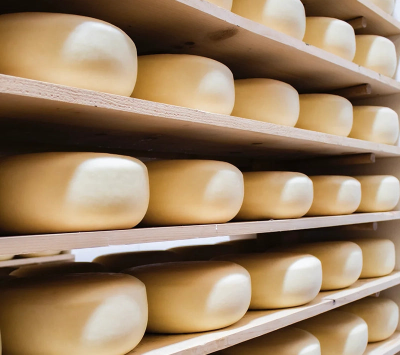 Central Coast Creamery aging cheese wheels