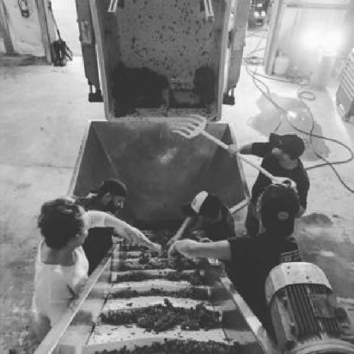 winemaking at Levo