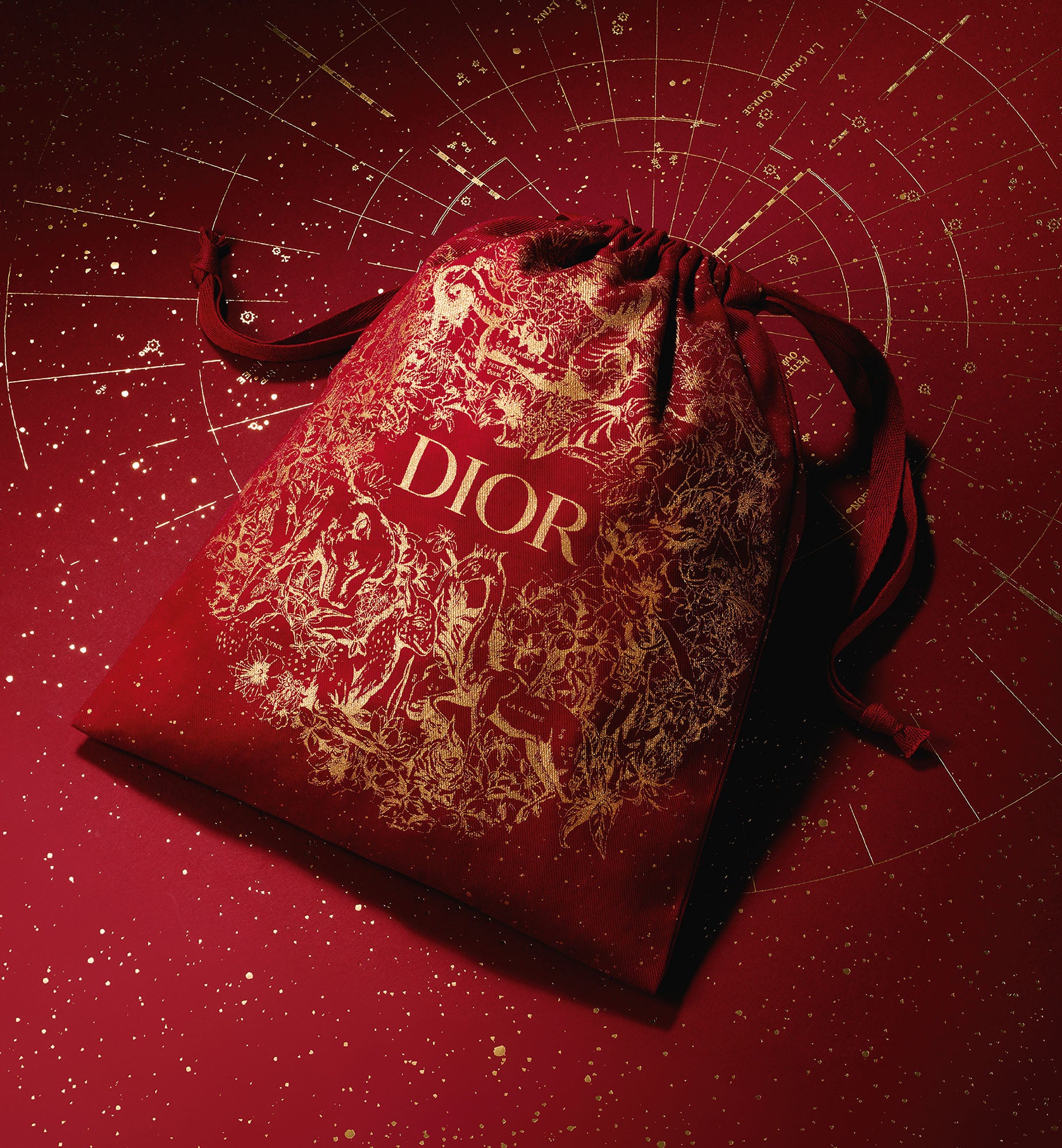 Dior - Chinese New Year 2021 3D Animations  Chinese new year gifts, Dior, Chinese  new year