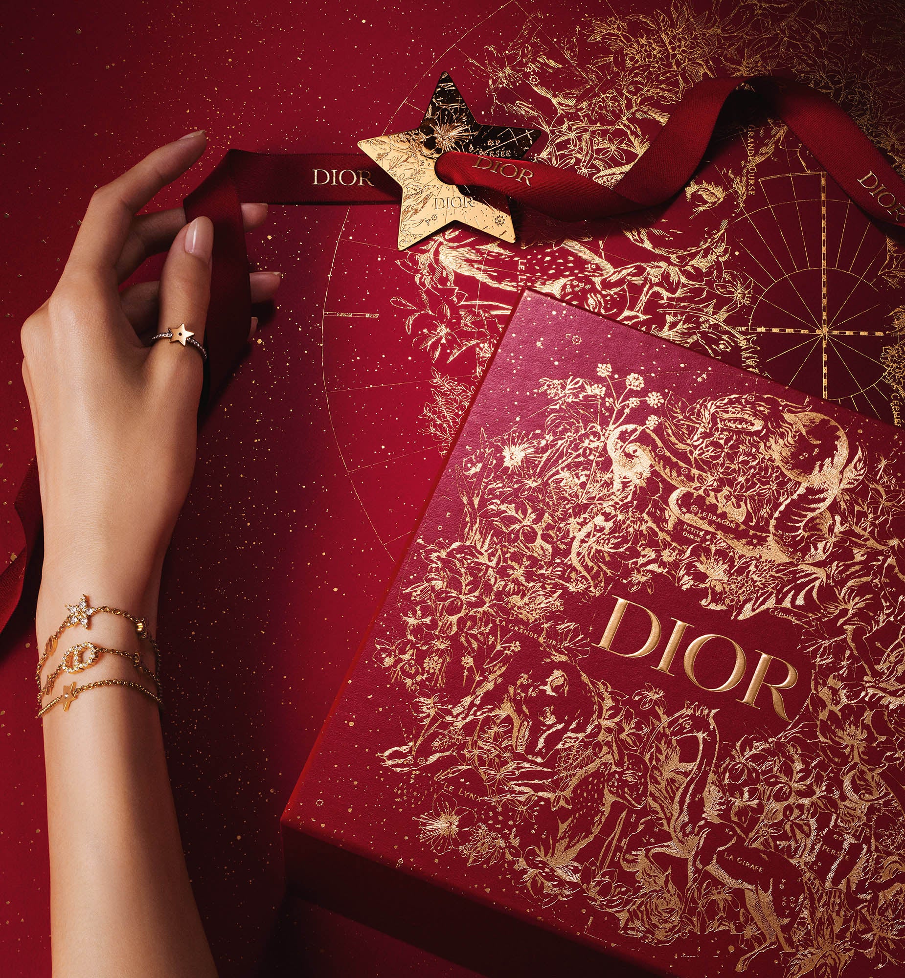 Dior Celebrate Chinese New Year - Stilettoes Diva