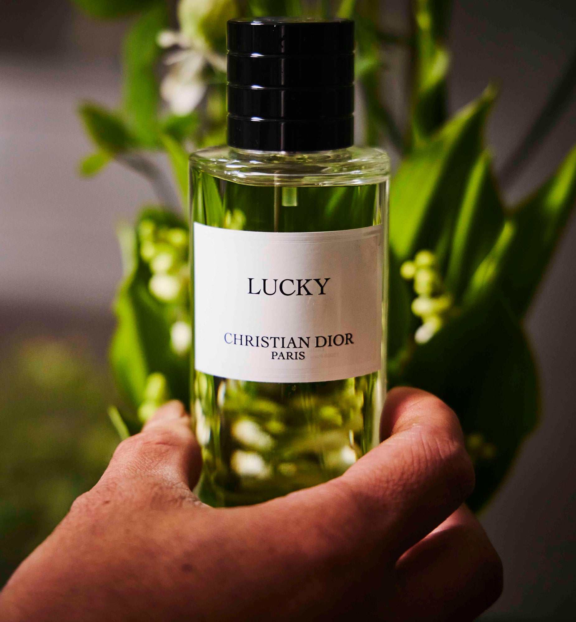Lucky | La Collection Privée Christian Dior