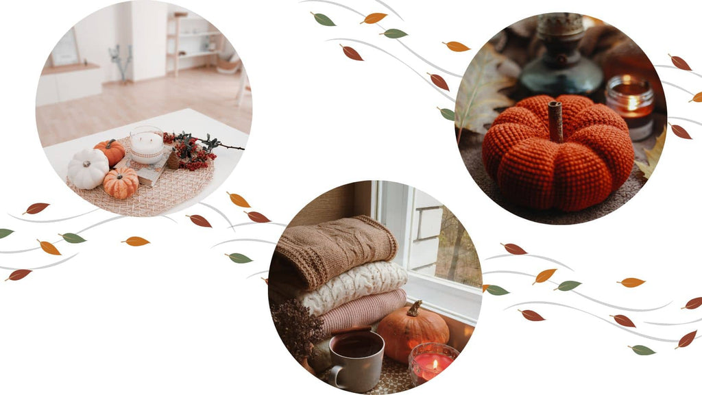 Citrouilles décoratives pour idées décoration d'automne