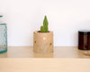 Cache-pot décoratif pour intérieur petites plantes sur étagère, rond en bois à pois doré
