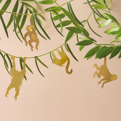 Air Plant Accessories - Animals - Monkey, Sloth