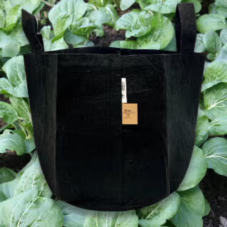 10 gallon Root Pouch