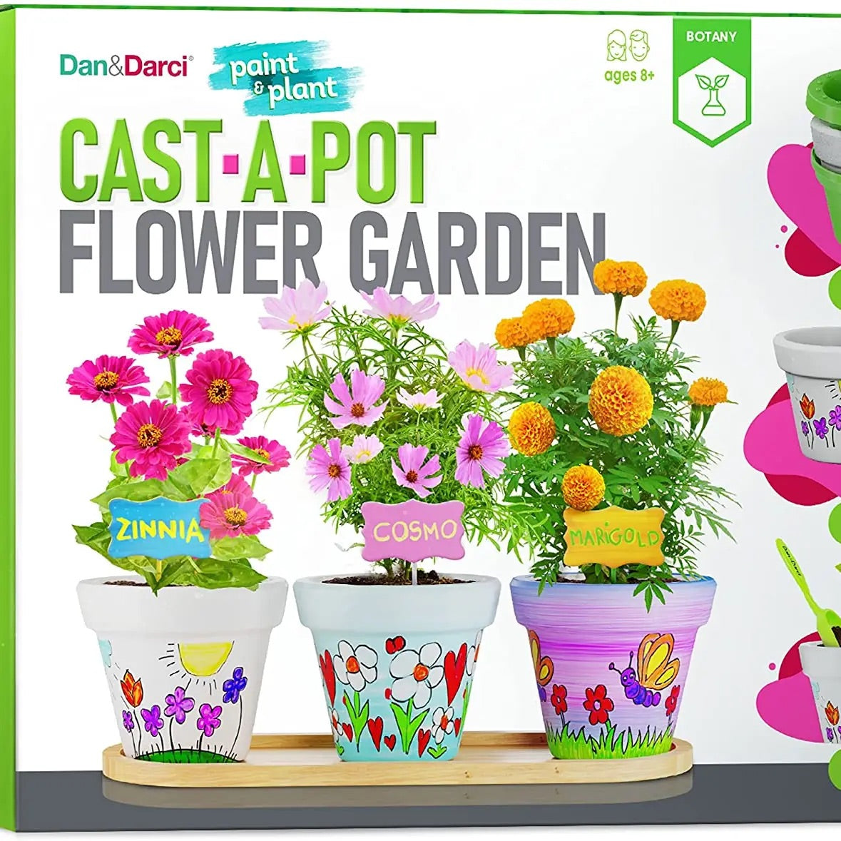Paint & plant your own small garden. Grow Cosmos, Zinnia, and Marigold flowers.