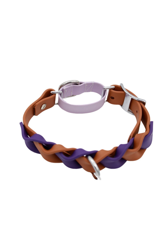 Tresse dog collar