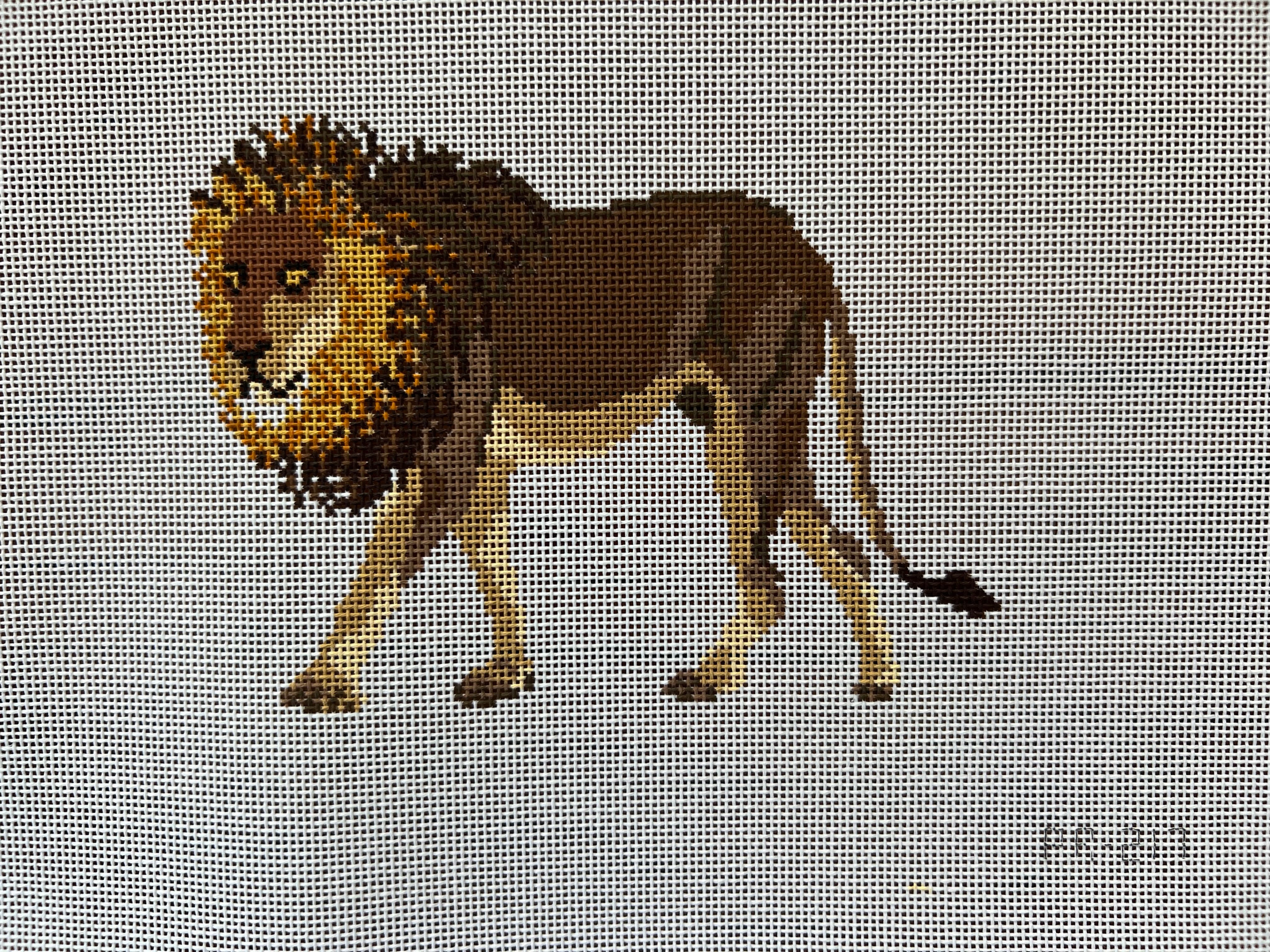 African Lion