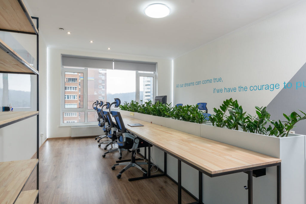 The Plants in two Desk Middle，Benefit to the Staff Working,Specially To The eyes,Althrough The company offer the Adjust Height  Ergonomics Chair