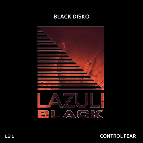 BLACK DISKO - CONTROL FEAR COVER