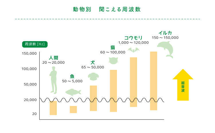 動物別の聞こえる周波数