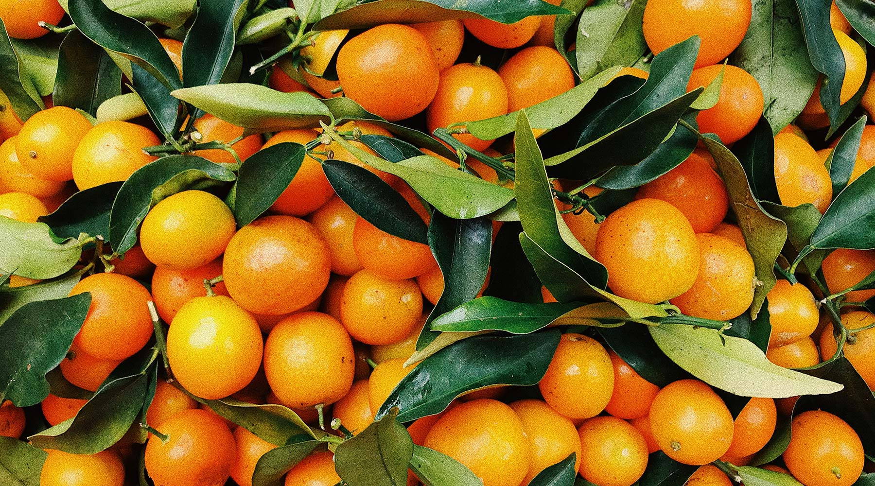 Thé à la mandarine maison : ses bienfaits