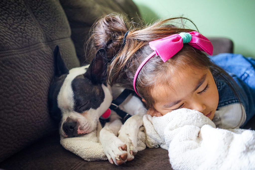 Niña dormida junto a un perro simbolizando una buena higiene del sueño infantil