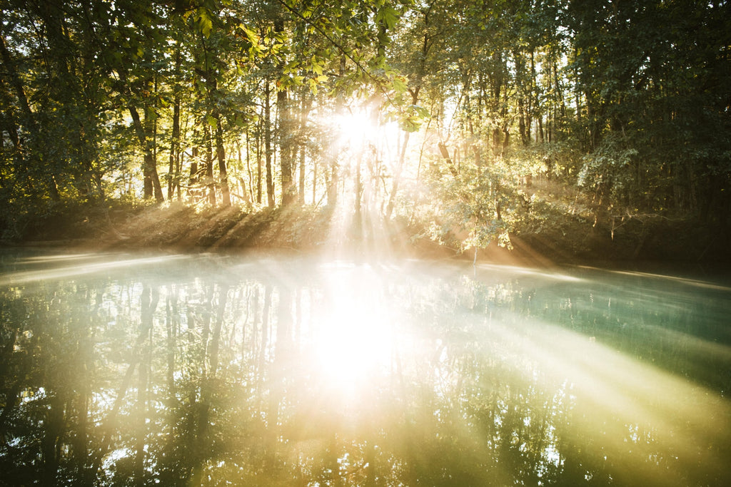 Imagen onírica de un paisaje simbolizando el tipo de sueños que tenemos en la fase REM